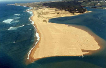 playas pielagos.jpg